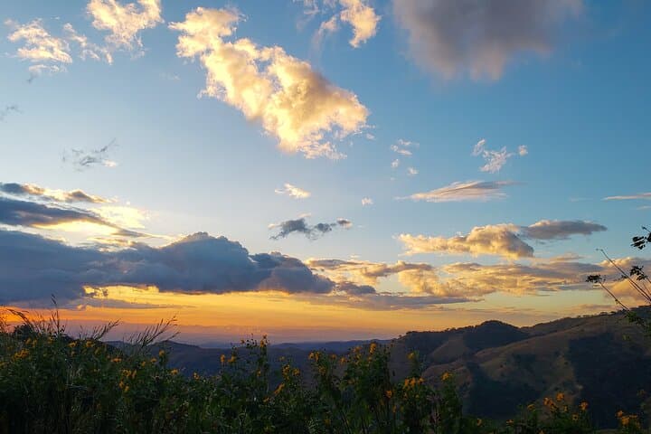 Full-Day Monteverde Cloud Forest Experience: Reserve, Treetopia & Night Walk photo 2