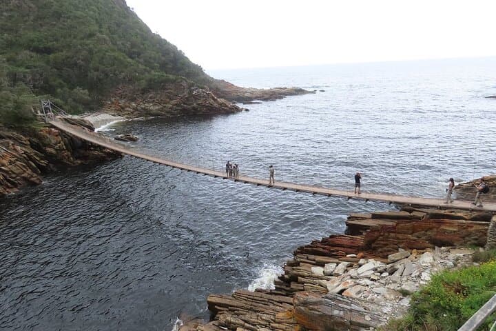 Garden Route Explorer: 4-Day Private Tour from Cape Town to Addo Elephant Safari photo 2