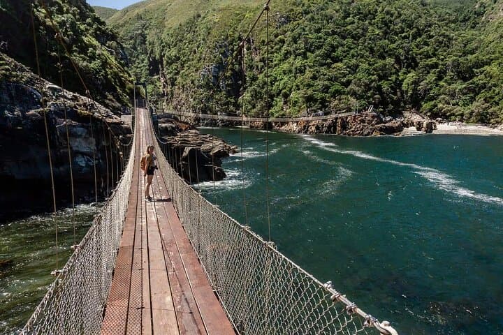 Garden Route Explorer: 4-Day Private Tour from Cape Town to Addo Elephant Safari photo 3