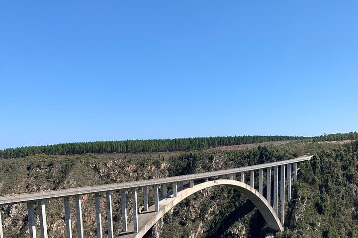 Garden Route Explorer: 4-Day Private Tour from Cape Town to Addo Elephant Safari photo 4