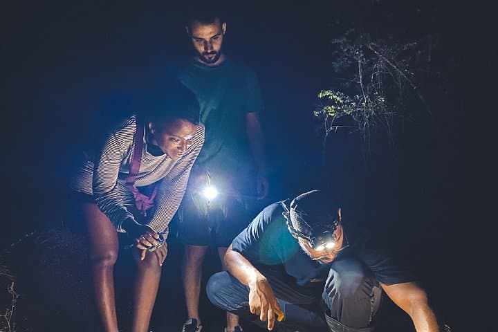 Tamarindo Night Walk: Discover Costa Rica's Dry-Forest Nocturnal Wildlife photo 4