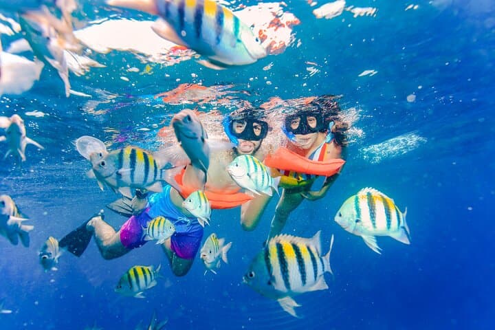 Catamaran to Isla Mujeres: Open Bar, Snorkel & Beach Club Lunch photo 6