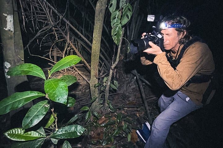 Secret Night Walk in Puerto Jimenez: Osa Peninsula Night Wildlife Tour photo 2