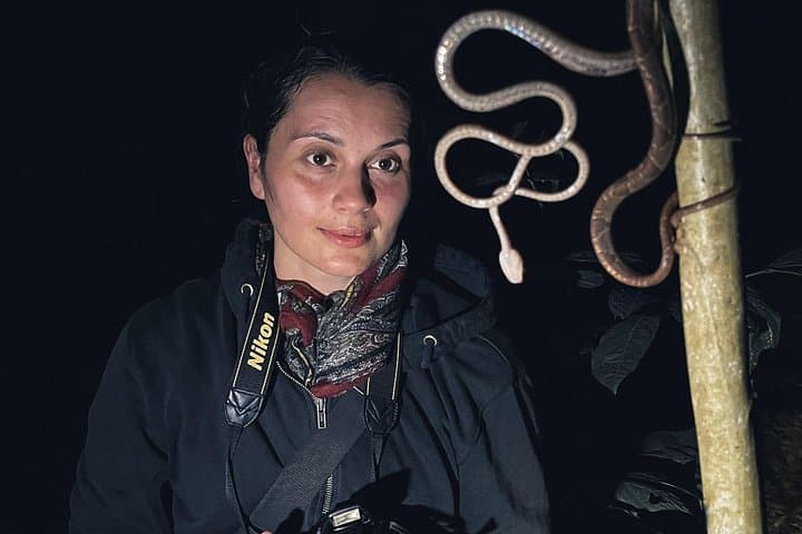 Secret Night Walk in Puerto Jimenez: Osa Peninsula Night Wildlife Tour photo 1