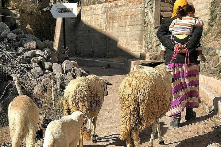 Atlas Mountains Day Hike from Marrakech: Imlil & Berber Village Experience photo 3