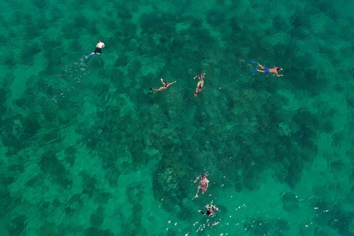 Key West Full-Day Ocean Adventure: Kayak, Snorkel & Sail the National Wildlife Refuge photo 4
