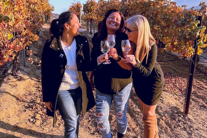 Private Luxury Wine Transfer in Temecula Valley: Custom SUV Tastings photo 2