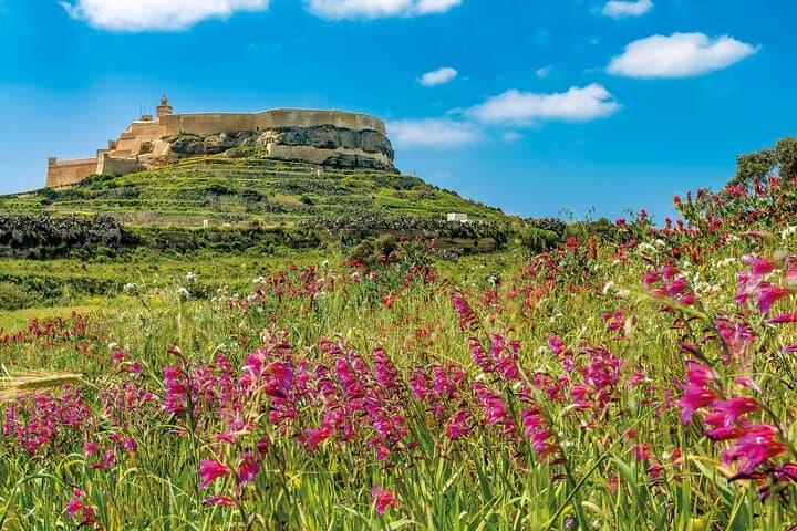 Gozo Jeep Tour from Malta: Full-Day Island Highlights with Lunch photo 6