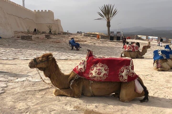 Half-Day Agadir City Tour: Kasbah, Marina & Souk Experience photo 2