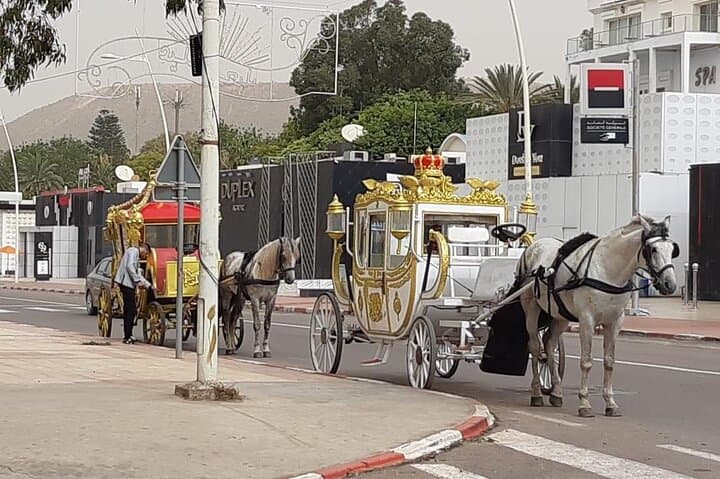Half-Day Agadir City Tour: Kasbah, Marina & Souk Experience photo 6
