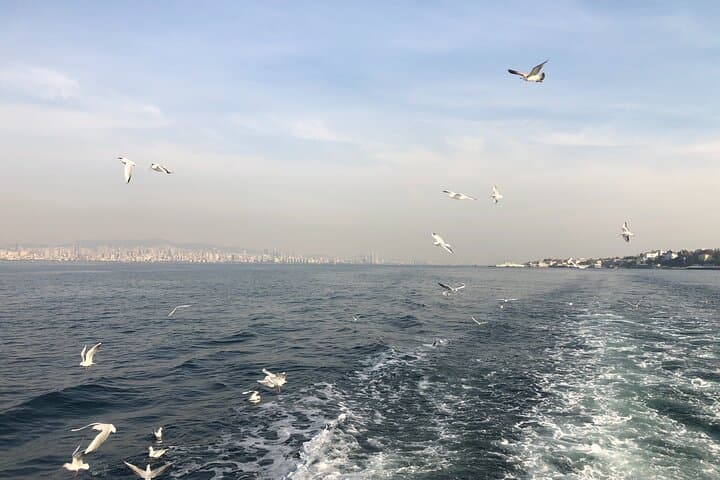 Turkish Odyssey: 8-Day Istanbul, Ephesus, Pamukkale & Cappadocia Highlights photo 2