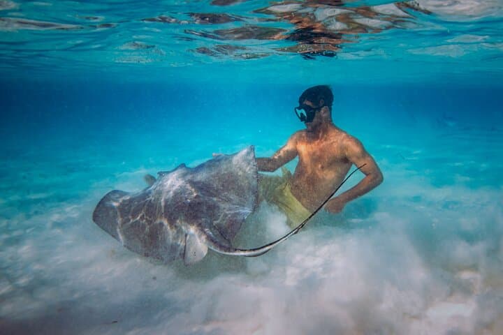 Cozumel Coast & Relax: 4-Hour All-Inclusive Catamaran on a 51' Leopard photo 3