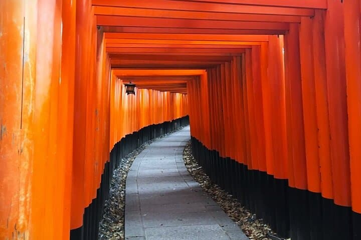 Private eBike Tour to Fushimi Inari: Ride Through the Torii and Kamo River Return photo 5