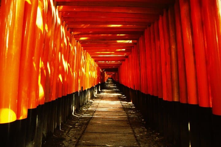 Private eBike Tour to Fushimi Inari: Ride Through the Torii and Kamo River Return