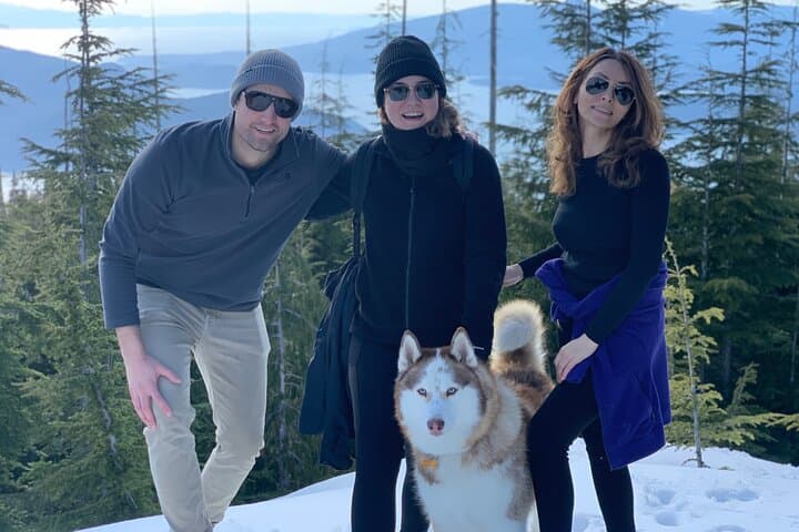 Husky Hikes: Private Snow Mountain Tours from Vancouver with Timber
