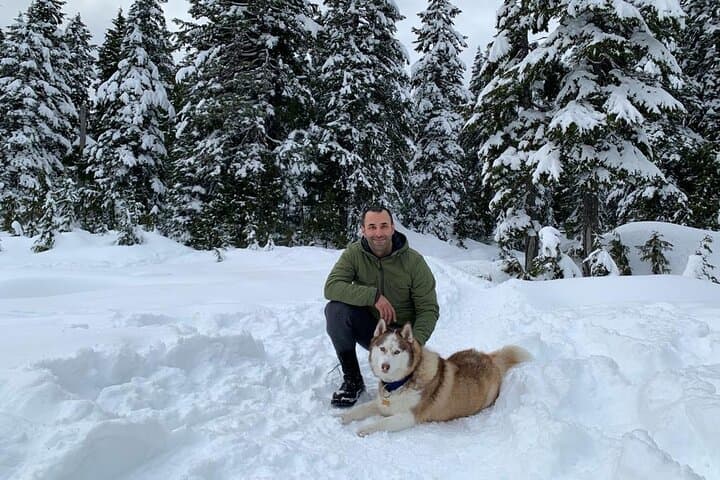 Husky Hikes: Private Snow Mountain Tours from Vancouver with Timber photo 2