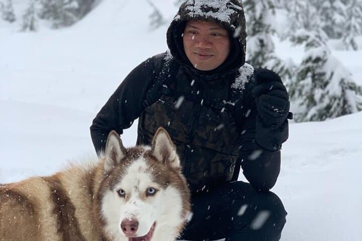 Husky Hikes: Private Snow Mountain Tours from Vancouver with Timber photo 4