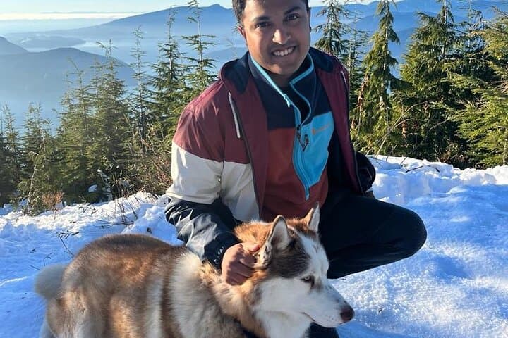 Husky Hikes: Private Snow Mountain Tours from Vancouver with Timber photo 5