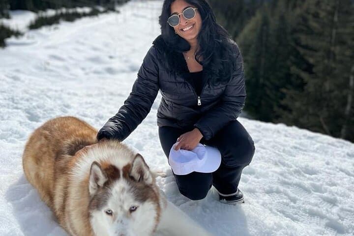 Husky Hikes: Private Snow Mountain Tours from Vancouver with Timber photo 6