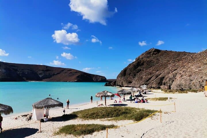 Balandra Beach & Todos Santos Private Day Tour from Los Barriles — La Paz Coast Highlights photo 2