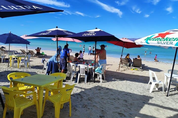 Balandra Beach & Todos Santos Private Day Tour from Los Barriles — La Paz Coast Highlights photo 3
