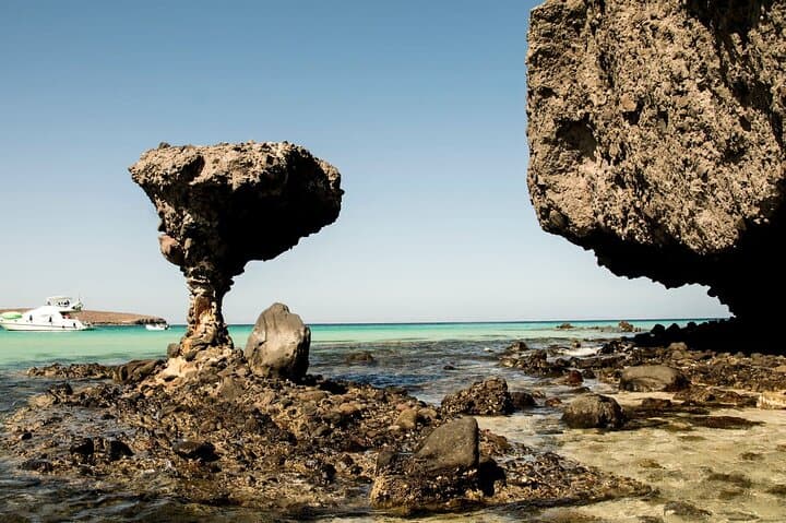 Balandra Beach & Todos Santos Private Day Tour from Los Barriles — La Paz Coast Highlights photo 4