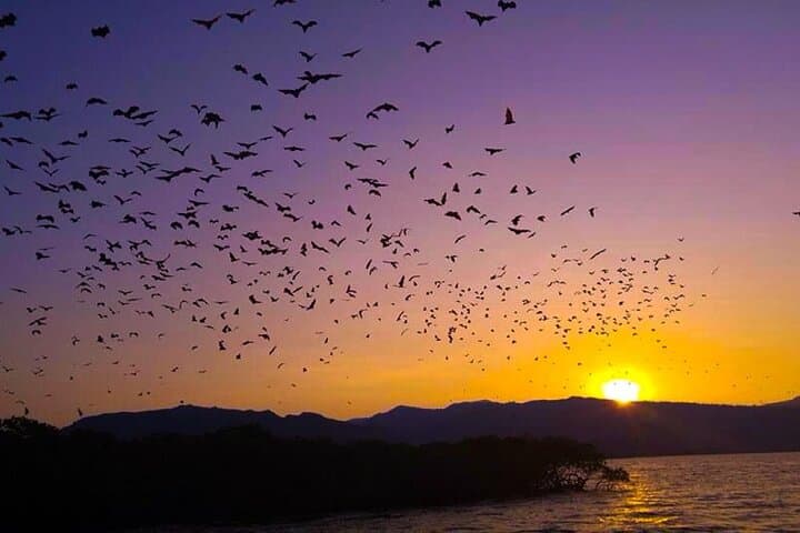 Flying Fox Island Sunset Cruise — Private Boat Charter in Labuan Bajo