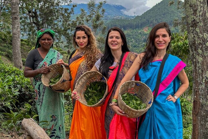 Tea Plantation Tour in Ella: Hands-On Ceylon Tea Experience at Sky Café