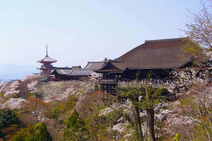 Kyoto in a Day by eBike: East Course Shogun Legacy Cycling Tour