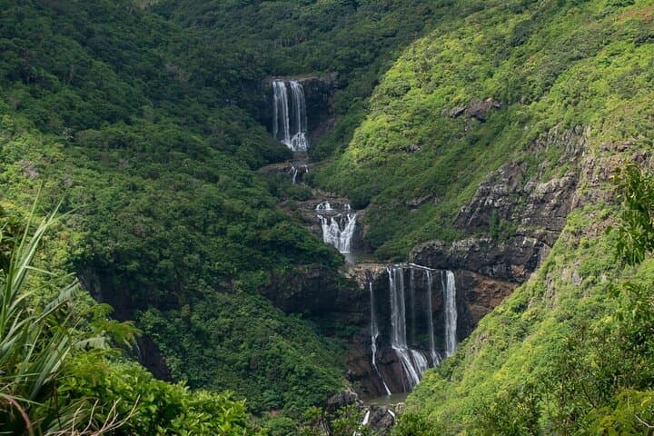 Tea Route Private Full-Day Tour in Mauritius: Bois Chéri, Trou aux Cerfs & Tamarind Falls photo 5