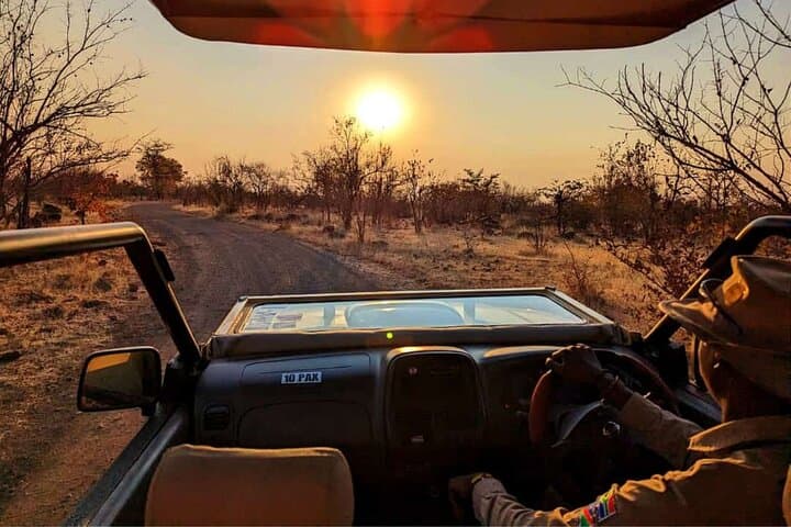 Zambezi Game Drive & Braai: 3-Hour Open 4x4 Safari from Victoria Falls photo 4