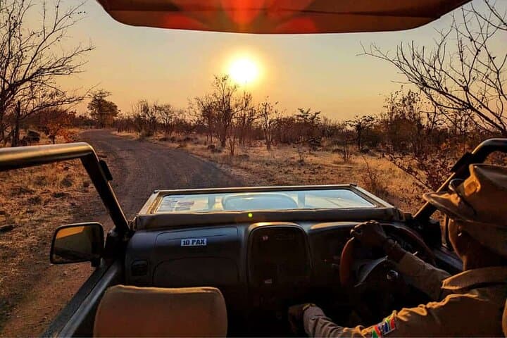 Private 3-Hour Game Drive in Zambezi National Park — Safari Near Victoria Falls photo 5