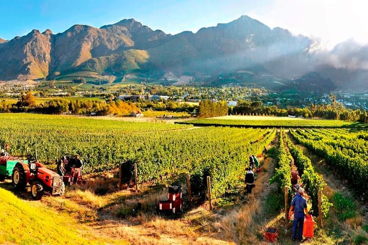 10-Day South Africa Budget Adventure — Cape Town, Johannesburg & Kruger Safari photo 4