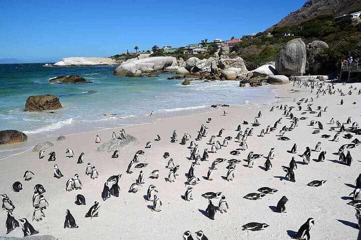 10-Day South Africa Budget Adventure — Cape Town, Johannesburg & Kruger Safari photo 5