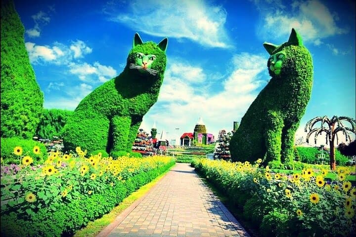 Visiting Dubai Miracle Garden: Guide to the World's Largest Natural Flower Display photo 5