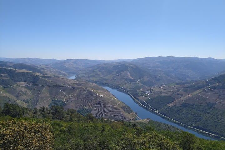 Douro Valley Private Wine Tour: Vinho Verde Quintas & Rabelo Boat Experience
