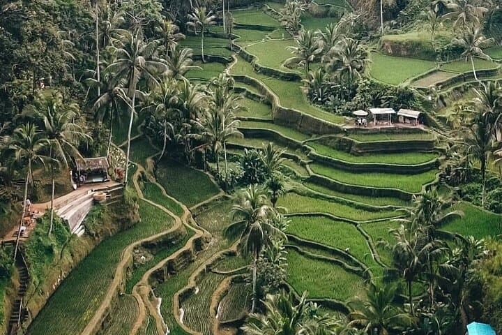 Craft Your Perfect Day: Private Custom Tour with a Local Guide in Bali photo 5