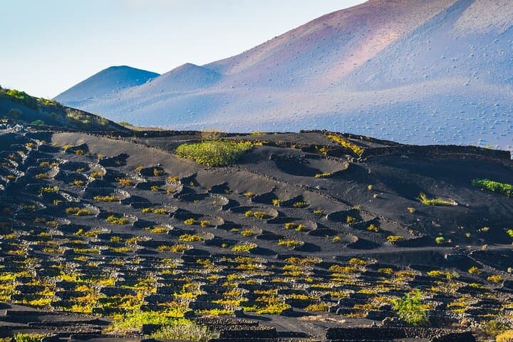 Timanfaya & La Geria Day Tour: Volcano Routes, Green Lagoon and Optional Camel Ride photo 4