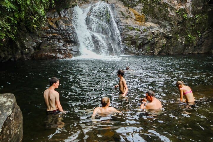 Sinharaja Rainforest Half-Day Guided Walk: Endemic Wildlife, Waterfalls & Fish Therapy