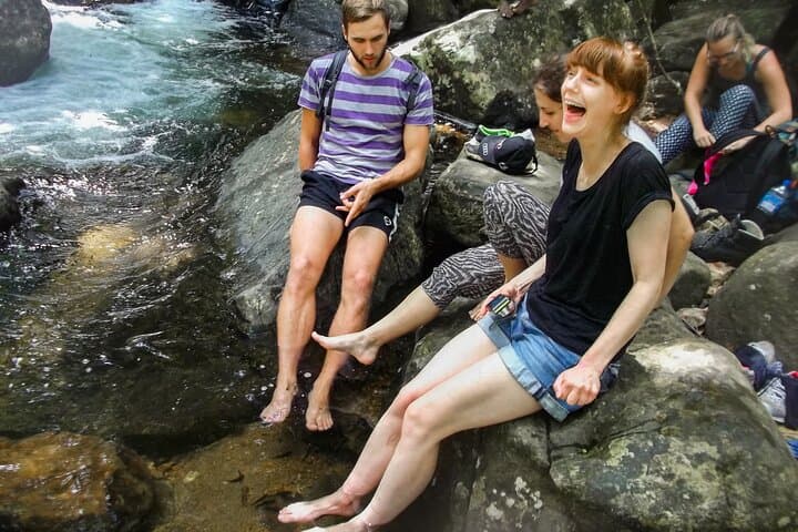 Sinharaja Rainforest Half-Day Guided Walk: Endemic Wildlife, Waterfalls & Fish Therapy photo 3
