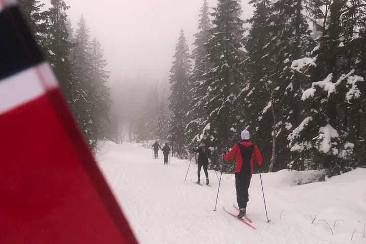 The Ultimate Norwegian Skiing Experience: Beginner Cross‑Country Skiing Near Oslo photo 3