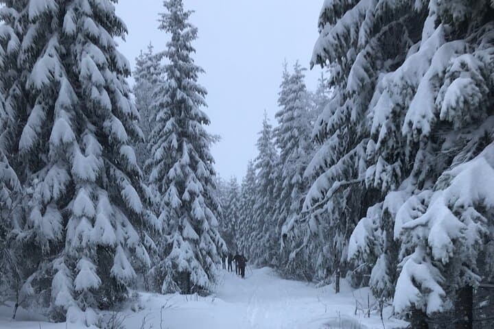The Ultimate Norwegian Skiing Experience: Beginner Cross‑Country Skiing Near Oslo photo 6