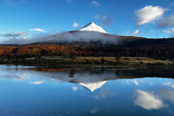 Exploring Tierra del Fuego National Park: Private Tour from Ushuaia to Lapataia Bay & Lake Acigami