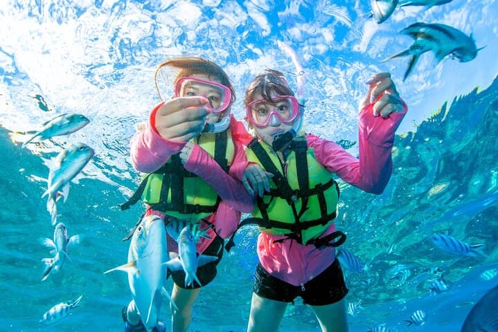 Chartered Minnajima Snorkeling & Trolling from Maeda Port — 6-Hour Private Boat