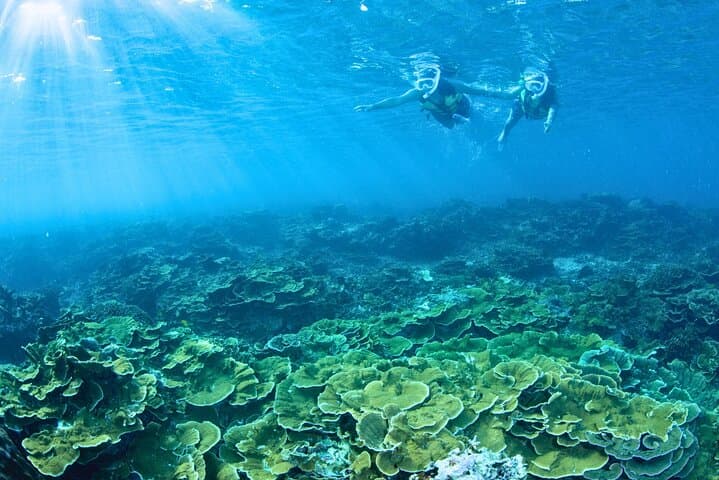 Chartered Minnajima Snorkeling & Trolling from Maeda Port — 6-Hour Private Boat photo 2