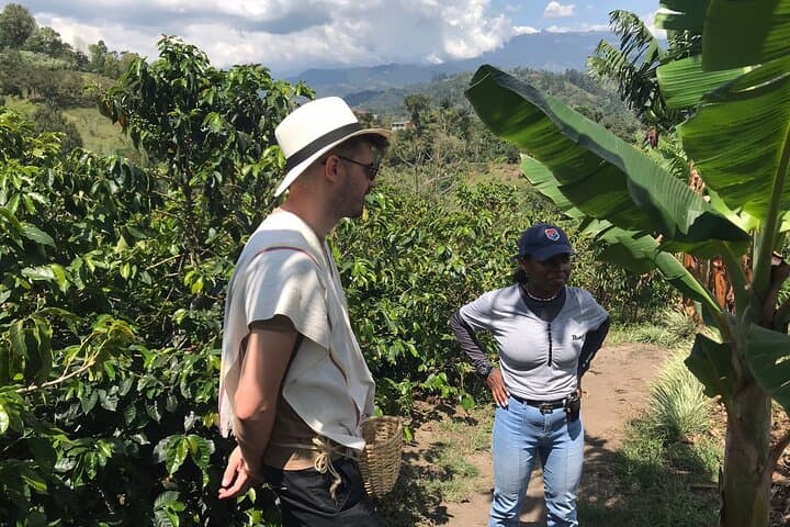 Full-Day Coffee Tour & Rural Walk in Salento — Coffee Farm Experiences photo 6