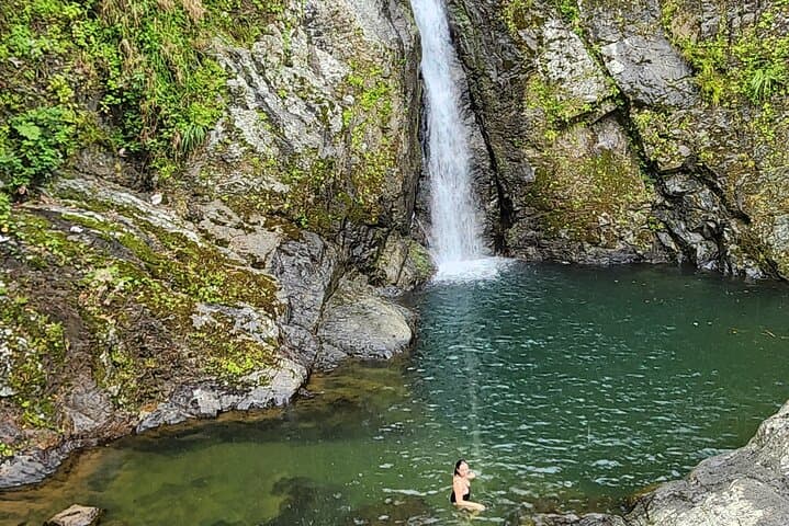 Puerto Rico Rainforest Waterfalls & Panoramic Views Day Trip from Ponce photo 4