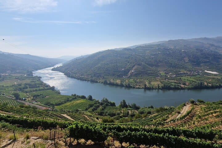 Douro Valley River Cruise & Wine Tasting: Full-Day Tour from Porto photo 3