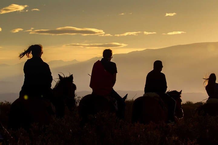 Sunset Horseback Ride and Gaucho Asado in Mendoza Wine Country photo 2