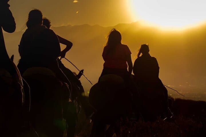 Sunset Horseback Ride and Gaucho Asado in Mendoza Wine Country photo 6